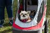 Tyne Derwent Way dog show