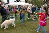 Tyne Derwent Way dog show