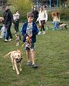 Tyne Derwent Way dog show