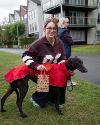 Tyne Derwent Way dog show