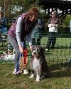 Tyne Derwent Way dog show