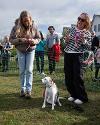 Tyne Derwent Way dog show