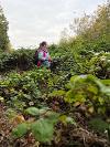 Volunteer Tyne Derwent Way