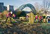 Green Team volunteers working in St Mary's graveyard